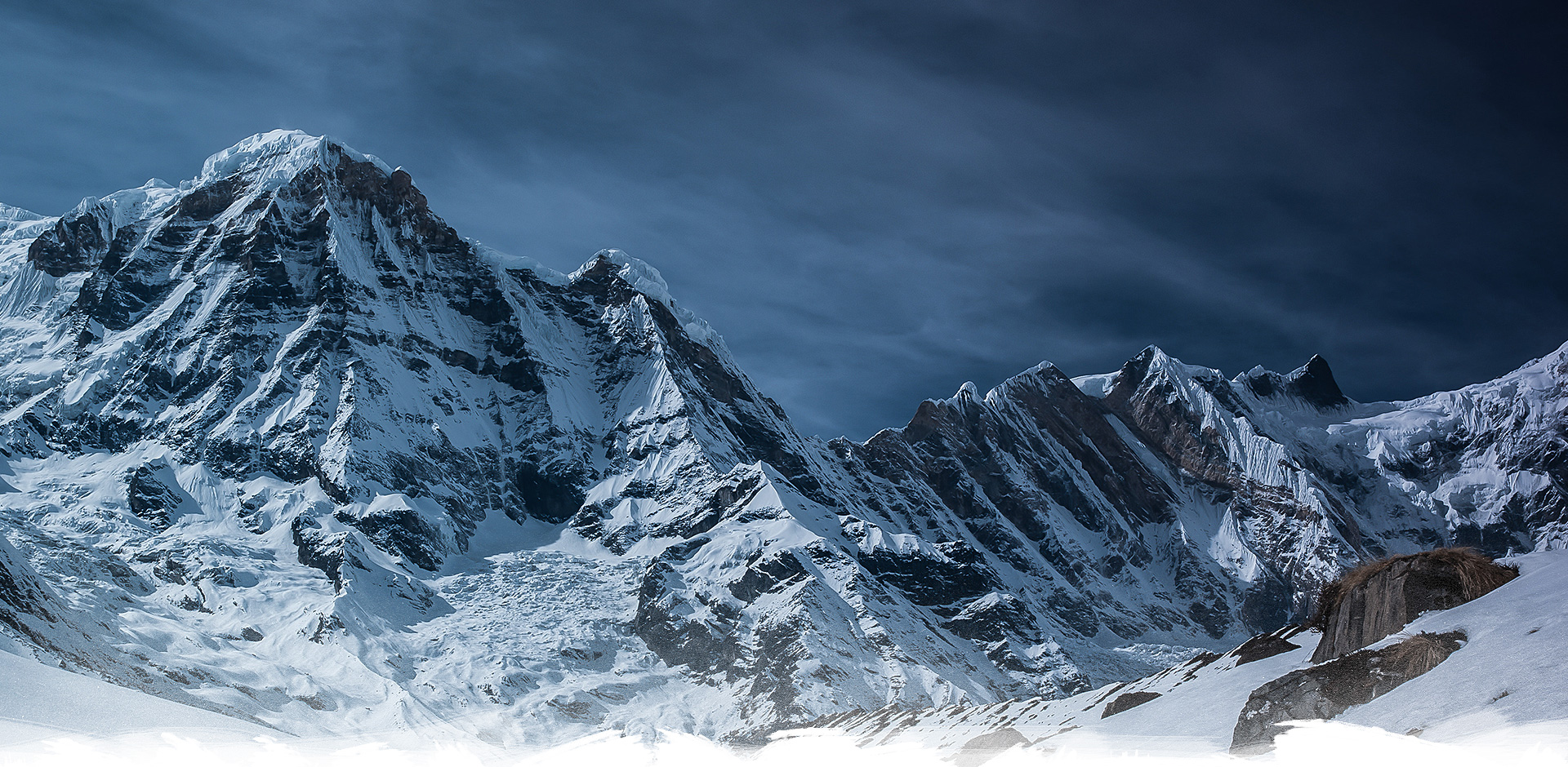 Bild zu Appartement.co